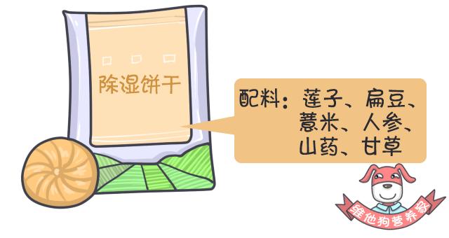 足贴减肥可信吗,足贴祛湿减肥靠谱吗