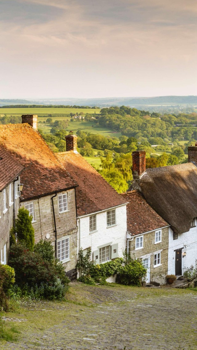 人生理想是什么该怎么实现,人生理想是什么