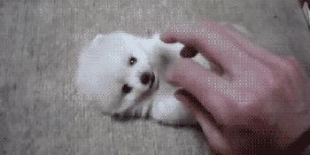 伤口结痂但是周围红肿一直不愈,伤口结痂后摸起来没知觉