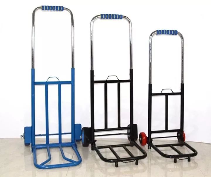 哈哈哈哈哈哈哈哈这届猫奴的智商有点高！