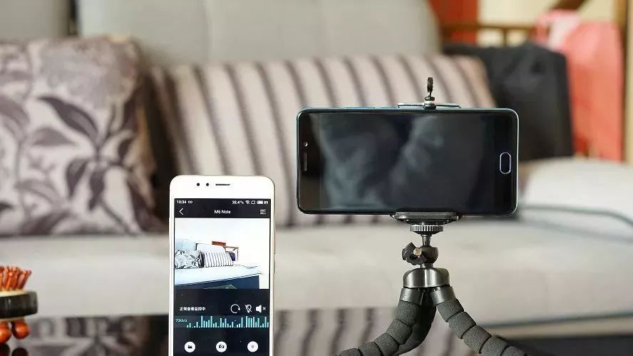 哈哈哈哈哈哈哈哈这届猫奴的智商有点高!