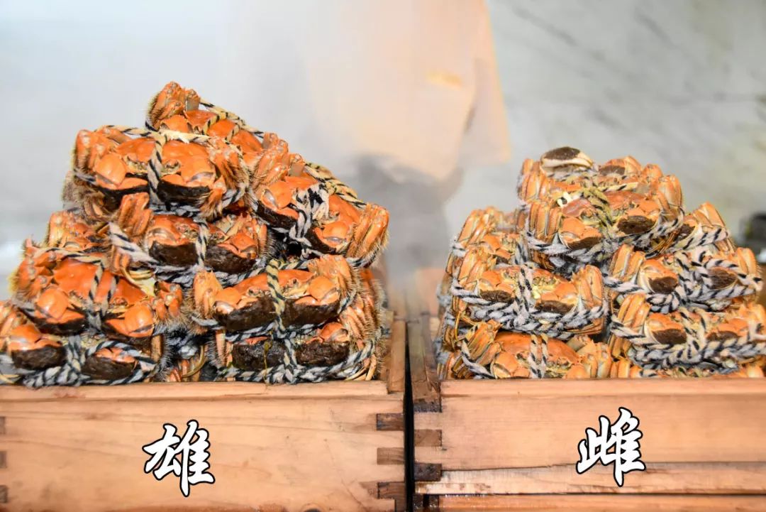 从320公里搬来“蟹中白富美”！北外滩酒店首创白兰地醉蟹畅吃！