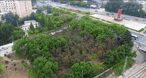 美了美了钢琴曲二胡,美了美了越南红歌