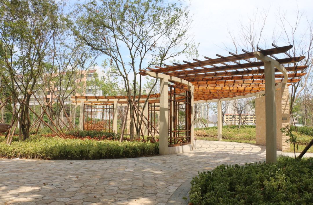 美了美了钢琴曲二胡,美了美了越南红歌