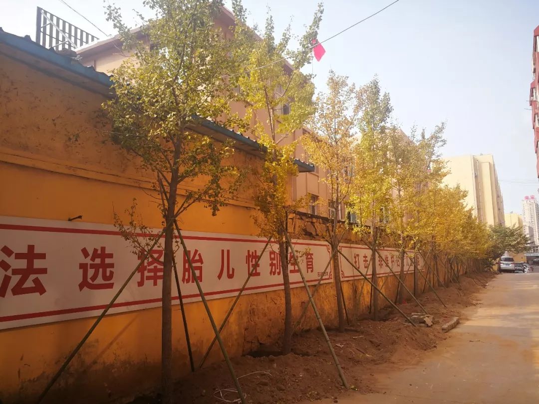 美了美了钢琴曲二胡,美了美了越南红歌