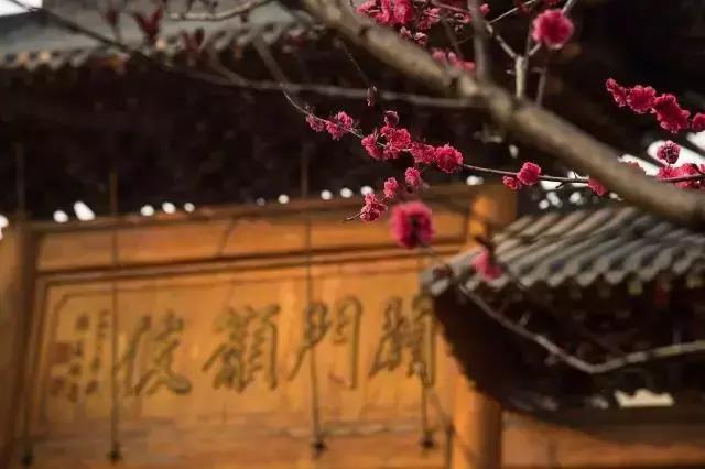 省实验是以文科还是理科为主,惟楚有才省实验