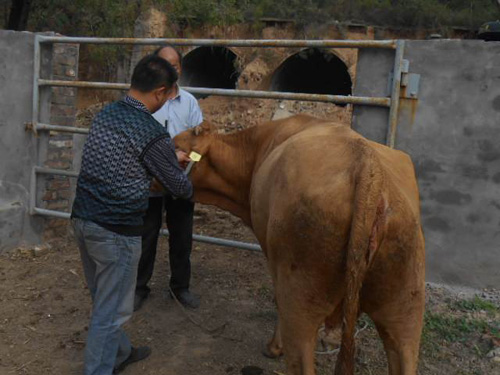 农民代加工创业项目,农民适合室内小作坊创业50个项目