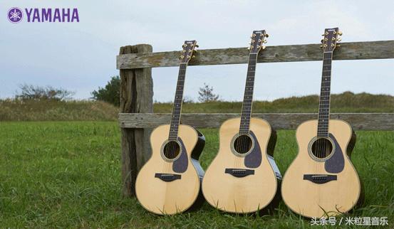 买吉他推荐品牌初学者,买吉他必看