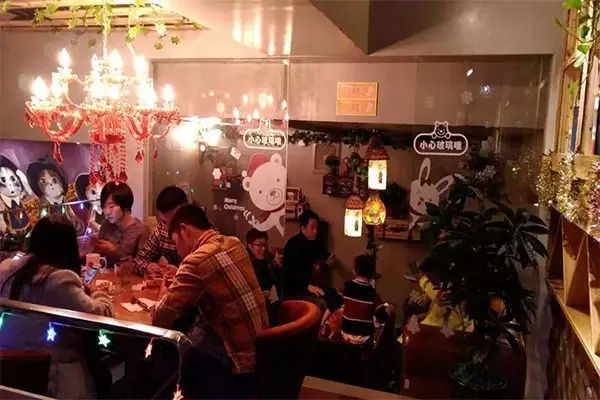 今天不聊情怀，聊加盟｜这只“漫猫”很有情怀