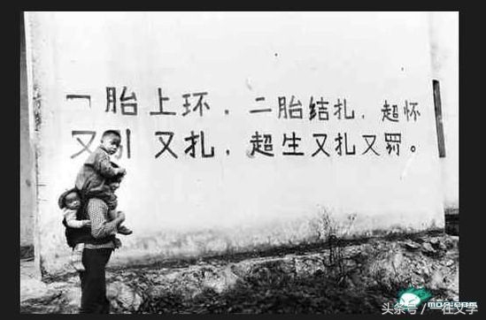 莫言写的蛙里面的姑姑原型是谁,莫言蛙的真实感悟