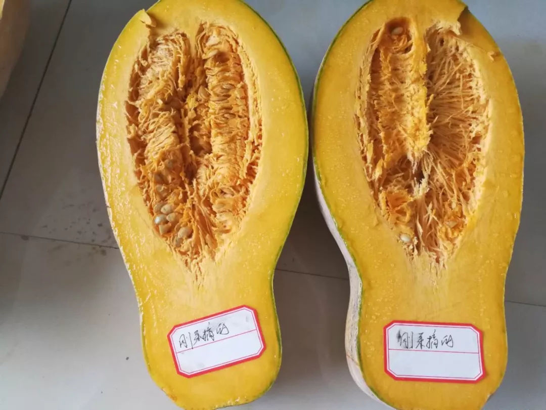 淘菜猫智慧零售扬州路店盛大开业,现场火爆,惊喜多多!