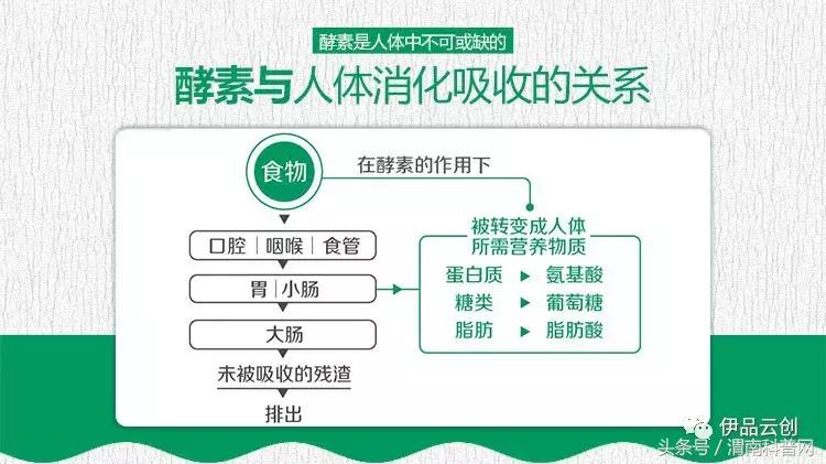 酵素科普,科普一分钟果胶酶