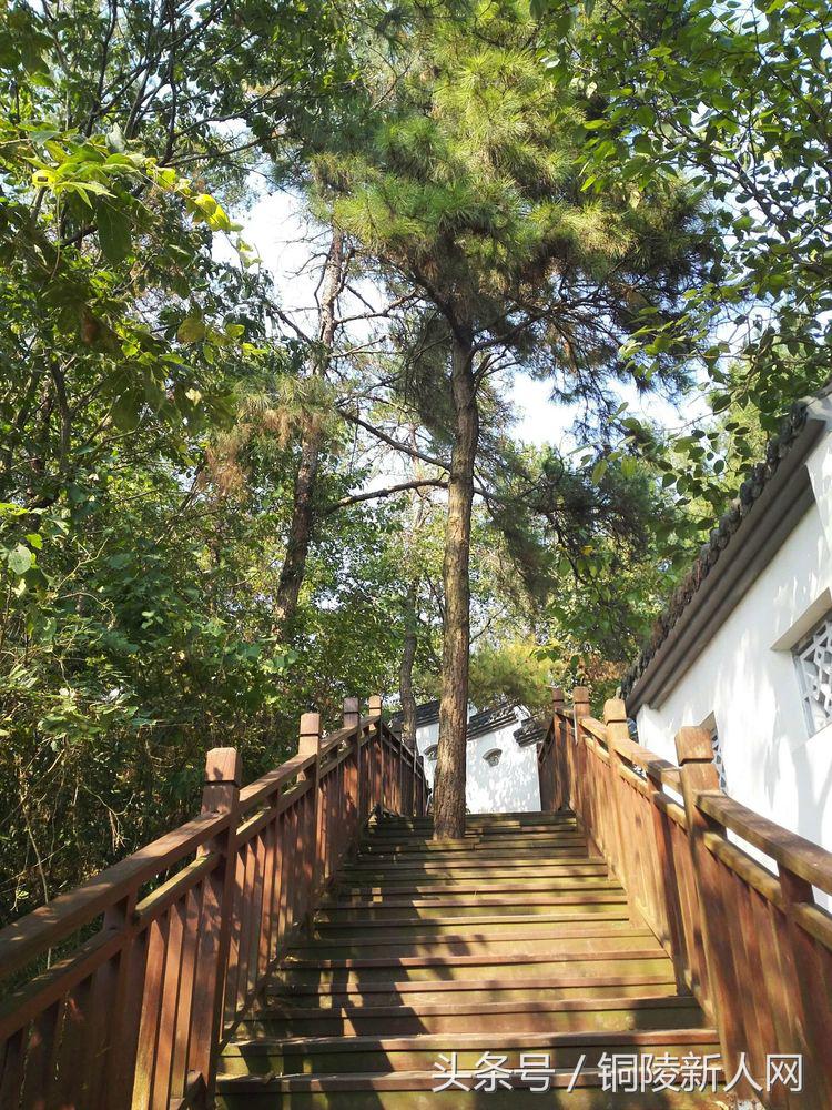 昔日水天一色的万佛湖美景,万佛湖的风景美如画