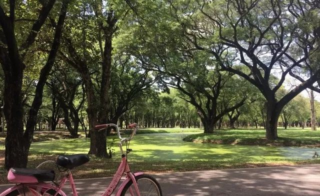 游记，小城素可泰，这里有你不知道的泰国味道
