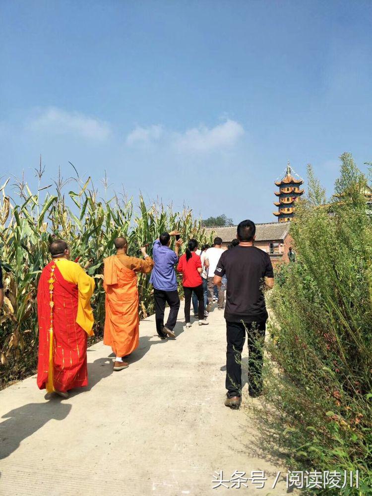 山西善缘养老院有限公司,最新念佛养老院