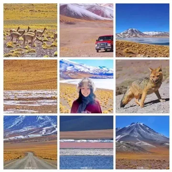 最美的风景在路上自驾游,最美的风景在路上游记