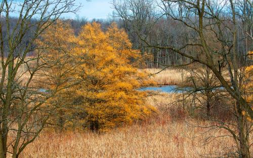 化妆品过敏了应该怎么解决,用化妆品脸部过敏红肿怎么治