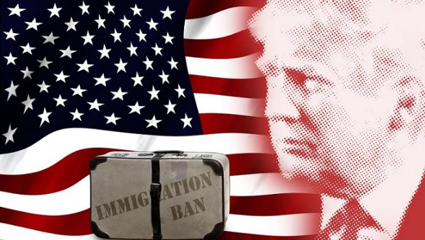 移民中介整顿,移民中介整顿最新动态