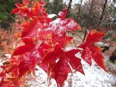 秋天到底是什么颜色的呢,秋天和秋雨是一种什么样的颜色