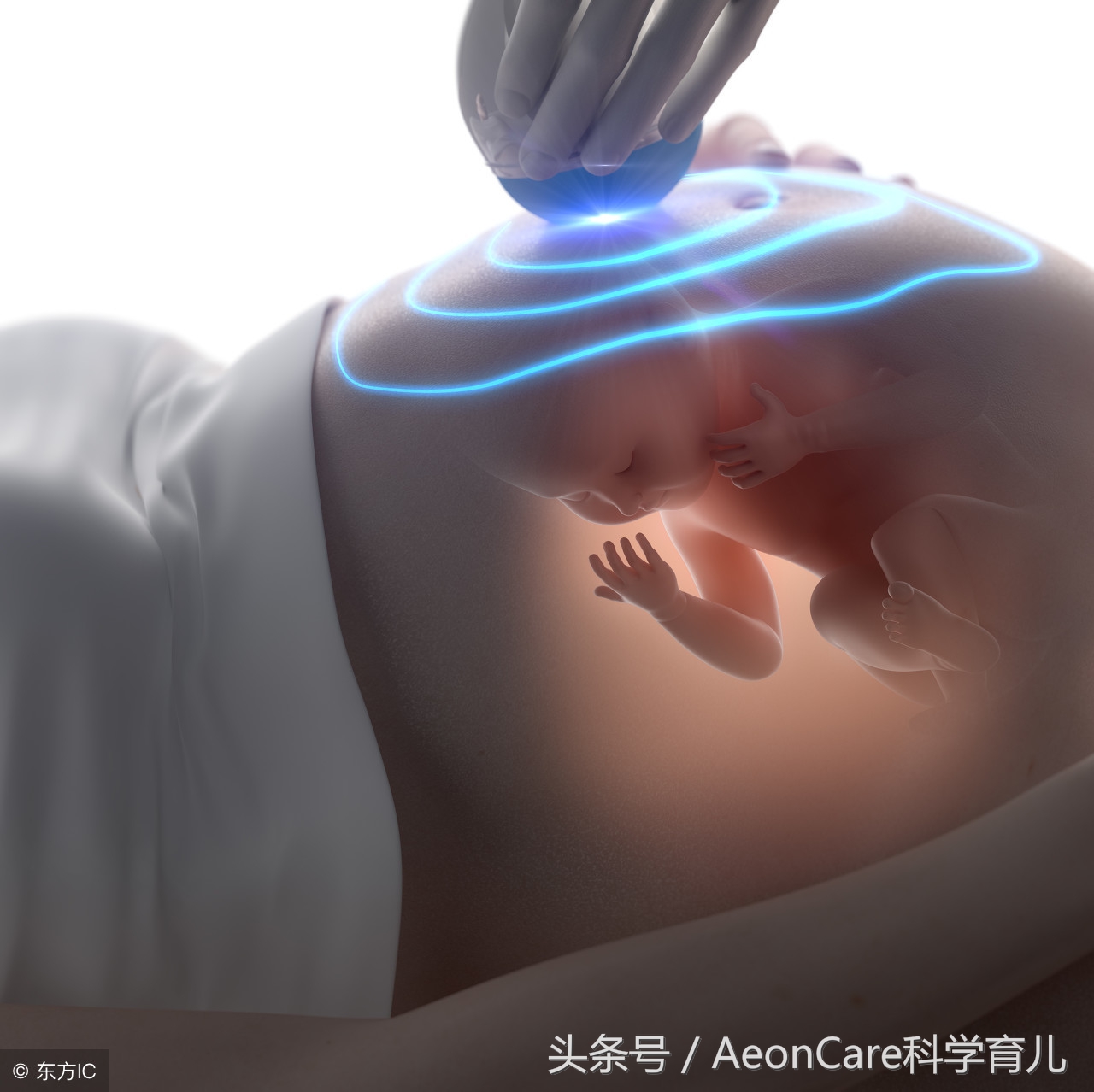 22周四维大排畸顺利通过,22周畸形概率高吗