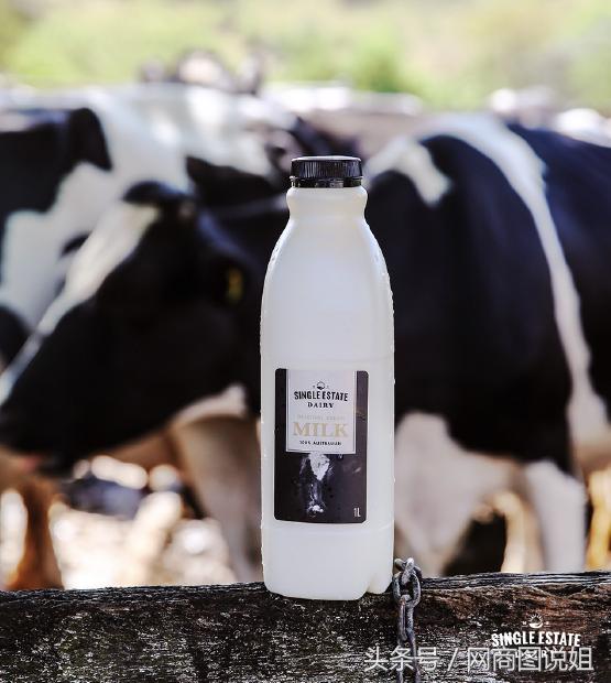 澳洲进口鲜牛奶推荐,网红牛奶新鲜奶