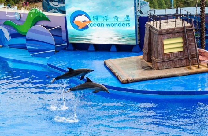 游玩香港,香港亲子一日游最佳攻略自由行