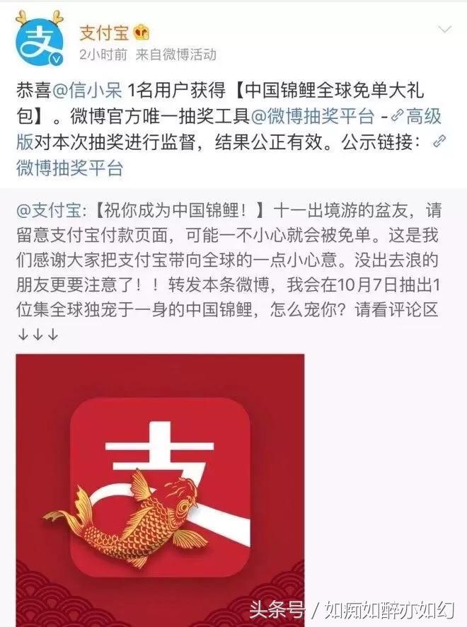 支付宝锦鲤取得成功的原因,支付宝1亿锦鲤内容