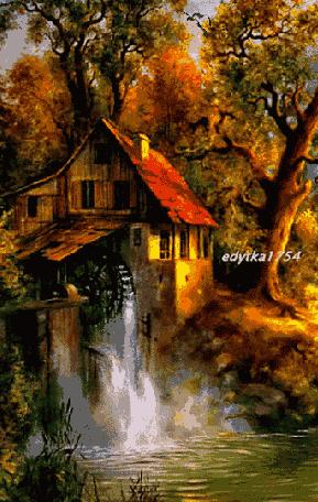 10张会动的照片,11张会动的图片