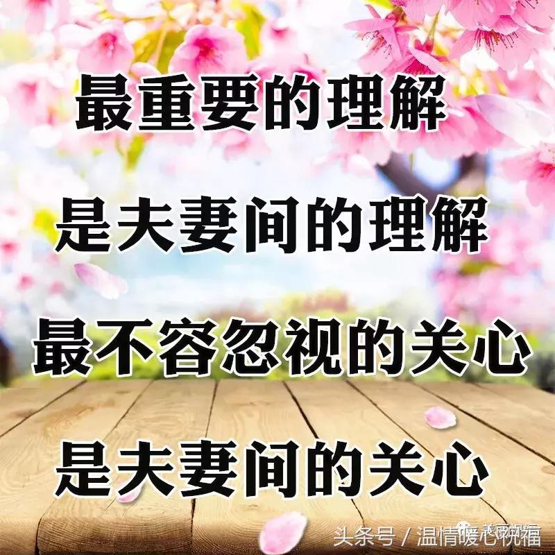 10张会动的照片,11张会动的图片