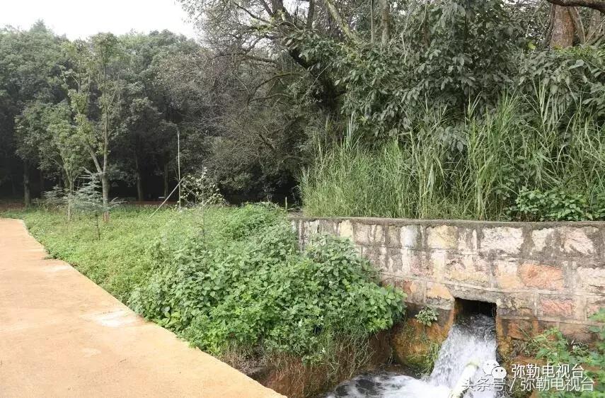 云南红河弥勒瀑布,弥勒滴水滩瀑布