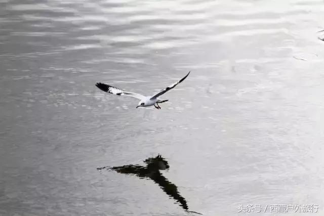 拉萨旅游攻略必去景点大全,拉萨旅游景点推荐及攻略