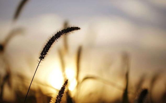 中国合伙人最经典的句子,中国合伙人语录短句