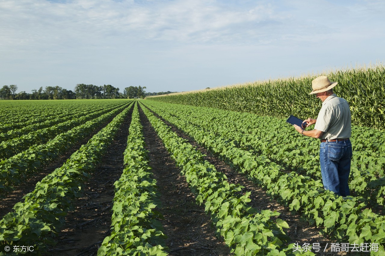 申请农业补贴公司还是合作社,农业合作社购买农机补贴政策