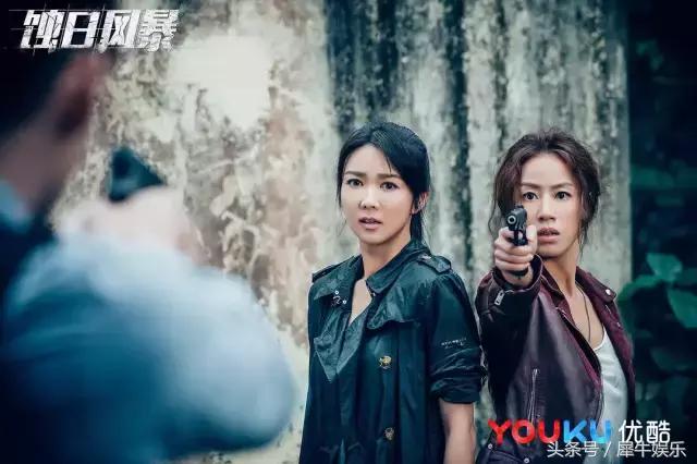 蚀日风暴粤语1-36全集手机免费看,蚀日风暴豆瓣