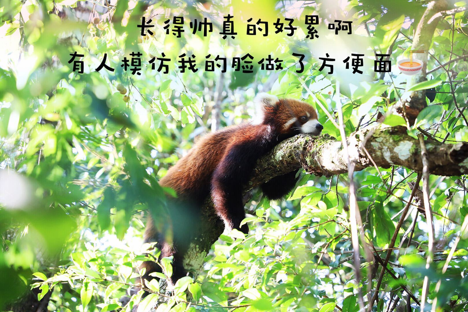 光唱歌就能给村里分红,曾祭人头的神秘佤族,走进你不知道的云南