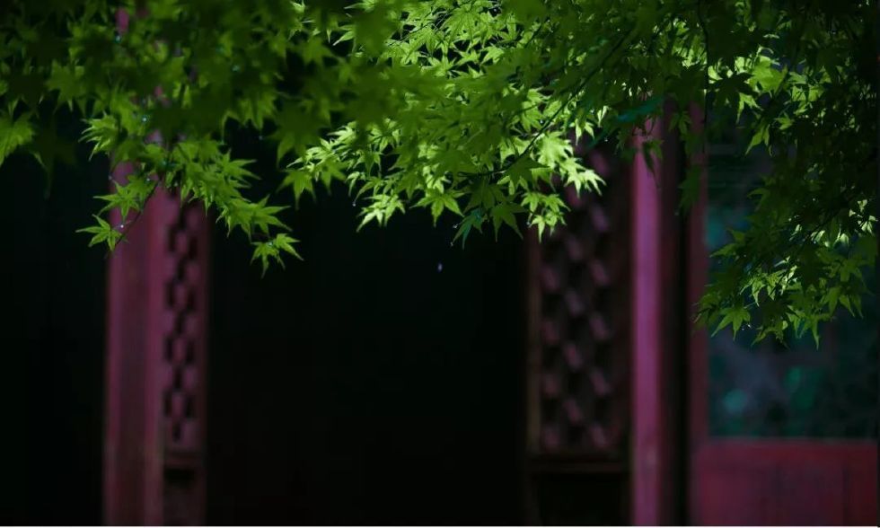 古有“九雅”，忘忧释怀丨私享·仿古