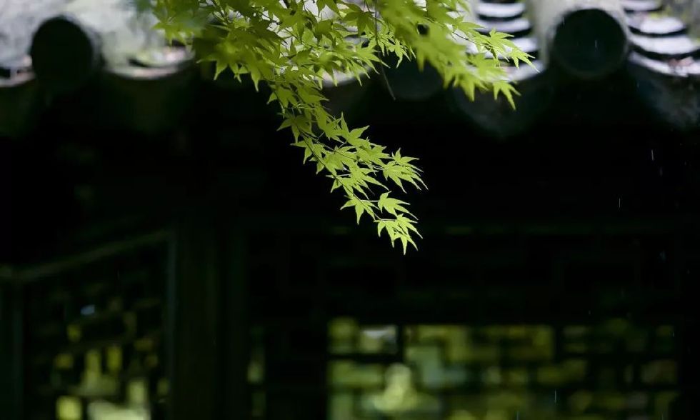 古有“九雅”，忘忧释怀丨私享·仿古