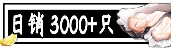 蚝皇爆汁,爆汁蚝皇多少钱一只