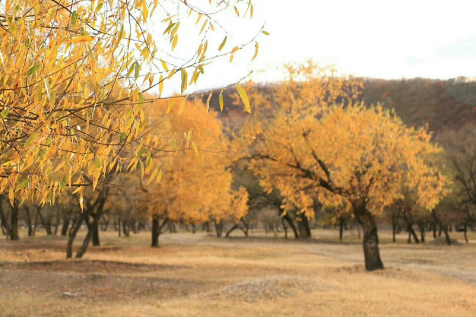 客户投诉产品外观不良怎么回复,如何回复客户投诉英文