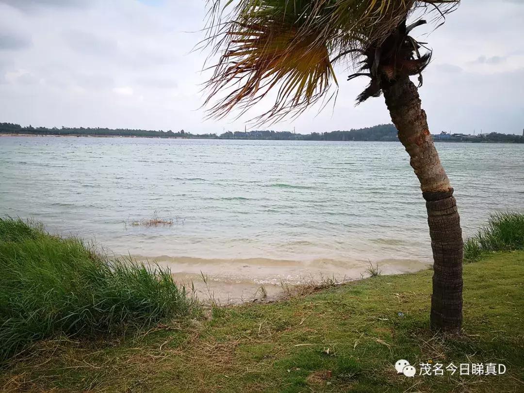 茂名露天矿环湖规划设想,茂名露天矿重大项目开工