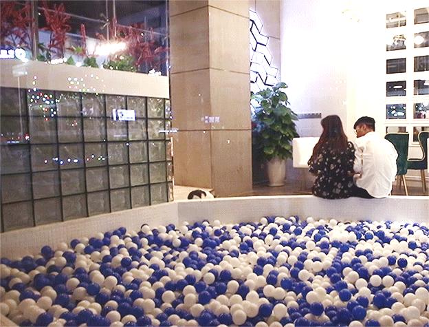 南阳shou家全透明撸猫咖啡馆！有手臂长的牛排！面包届的法拉利！