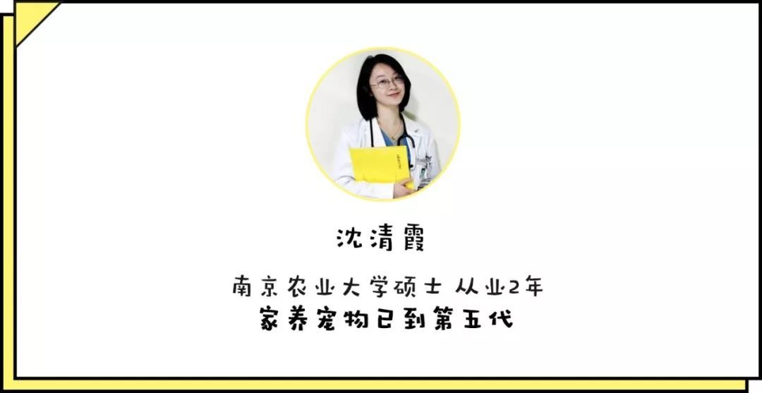 宠物皮肤病科普和治疗,宠物医生奇葩问题