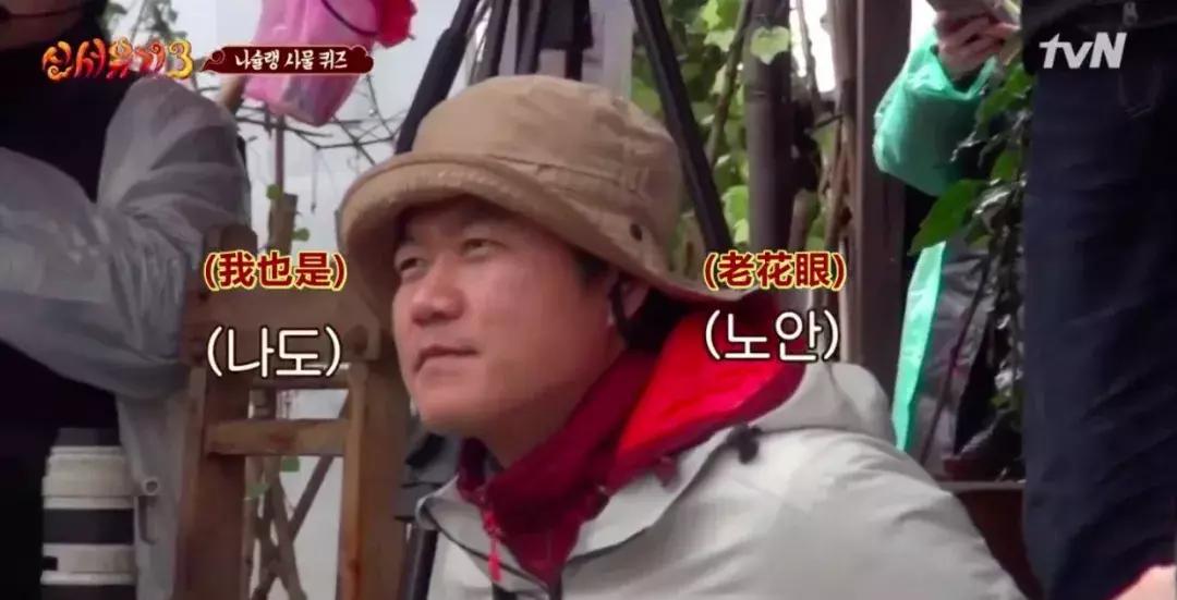 韩国综艺推荐2019豆瓣高分,韩国高评分综艺