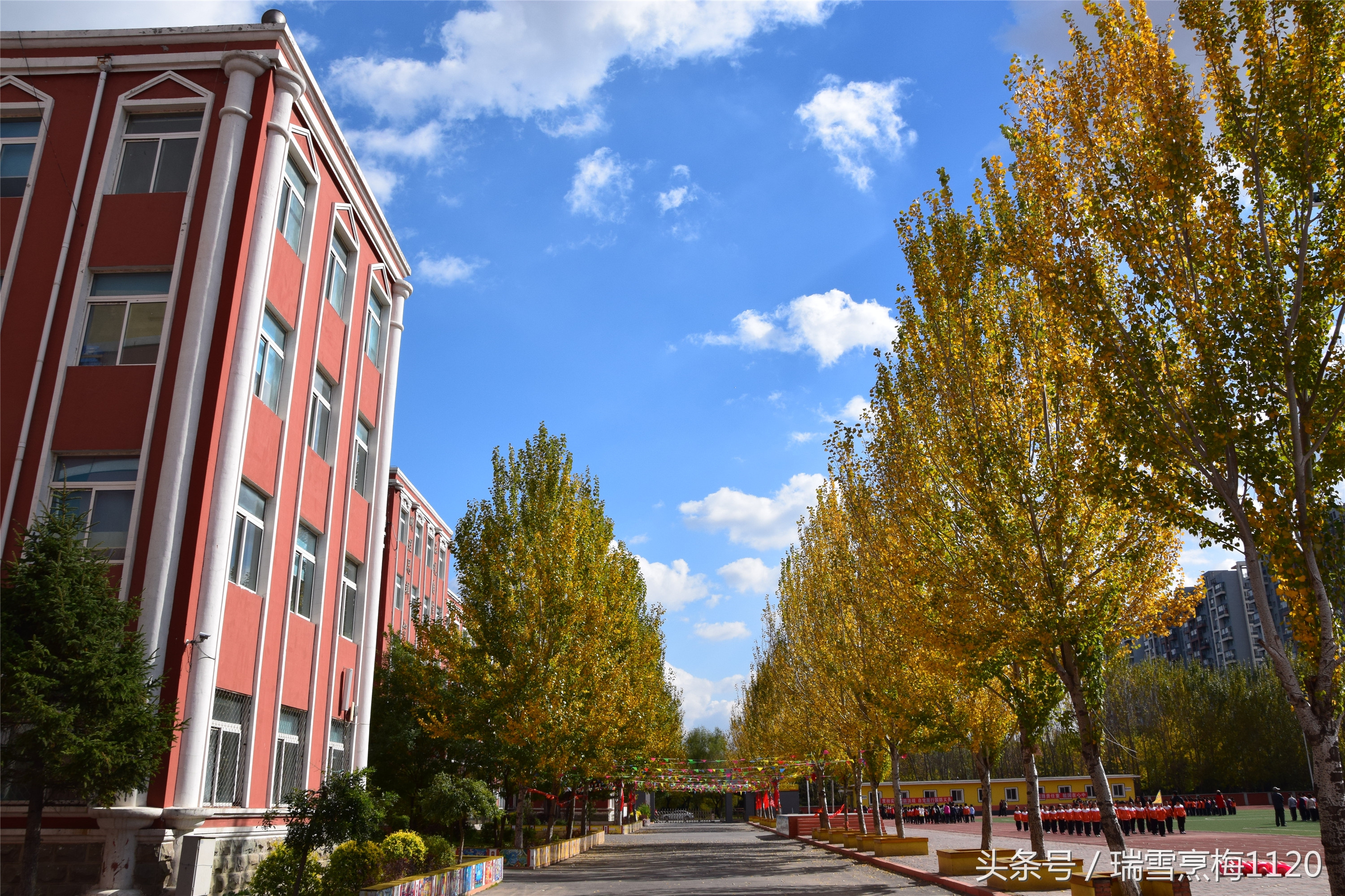 新城子街第一小学教学开放月邀请函