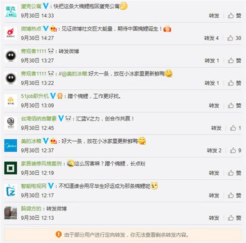 支付宝锦鲤靠什么,支付宝里的锦鲤是怎么回事