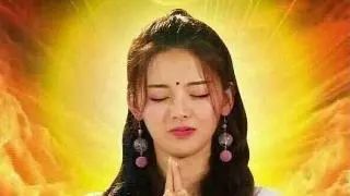 支付宝锦鲤靠什么,支付宝里的锦鲤是怎么回事