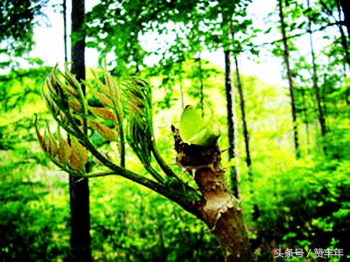 农人创业项目推荐,农人创业创新项目