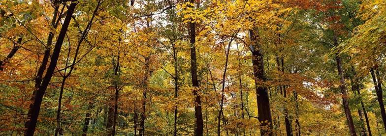 单反数码摄影入门教程,数码单反摄影进阶完全教程