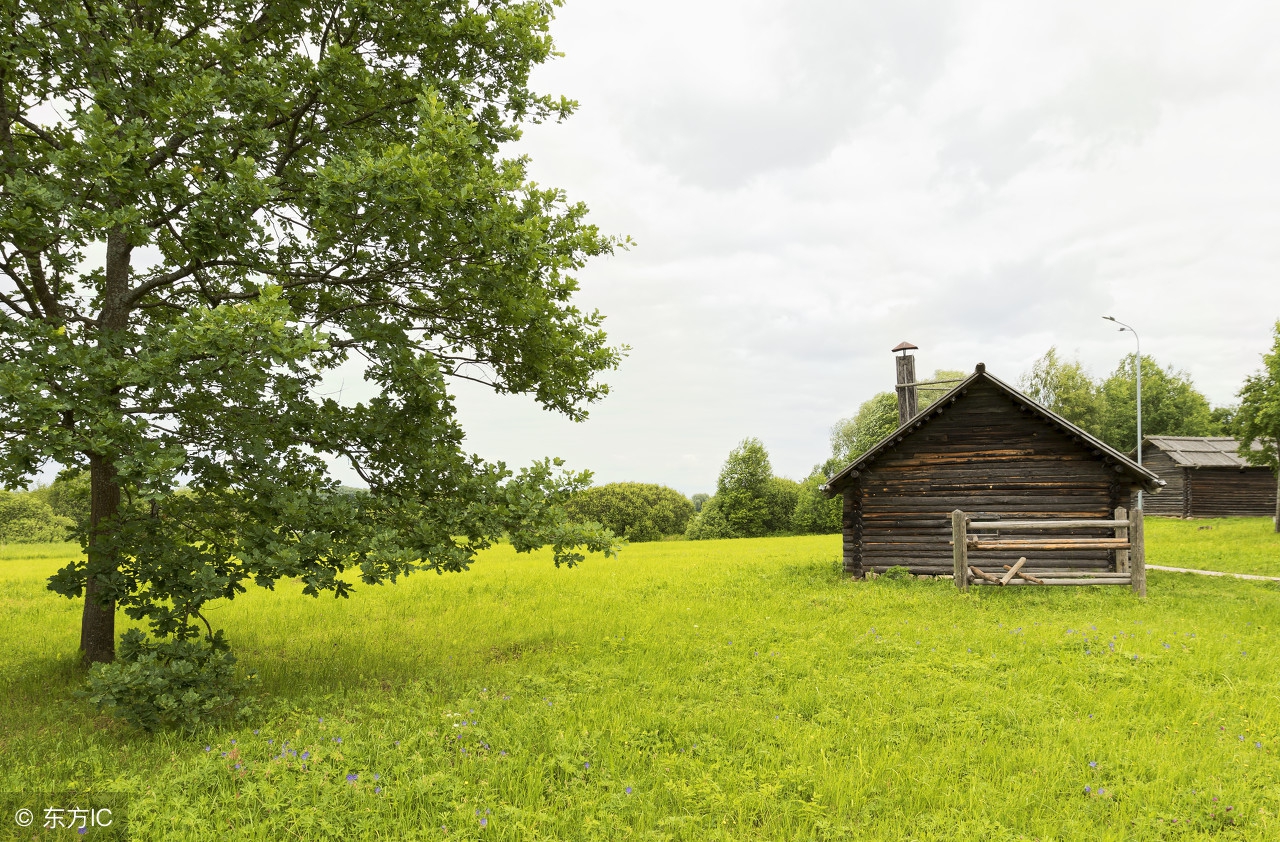 江苏4万多个家庭农场前景喜人农村真的越来越值钱?