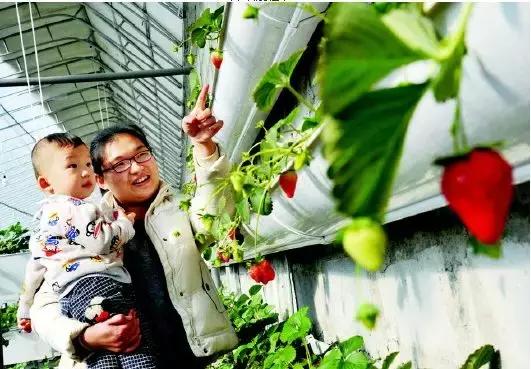 甜甜的怀化城市风景,甜甜的怀化完整版原唱